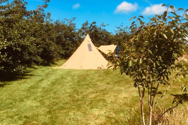 Ty Parke Farm Camping campsite in Mathry, Pembrokeshire