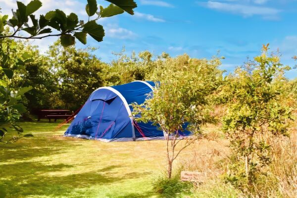 Ty Parke Farm Camping campsite in Mathry, Pembrokeshire