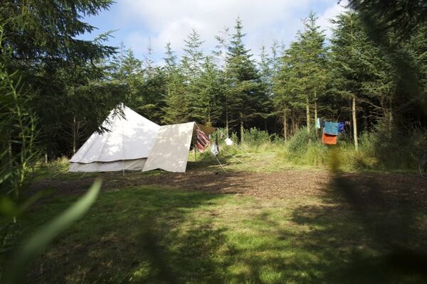 Kitewood campsite in Fishguard, Pembrokeshire