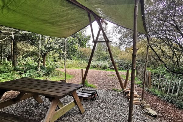 Kitewood campsite in Fishguard, Pembrokeshire