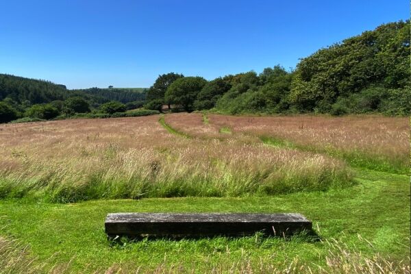 Coastal Meadows campsite in Pendine, Carmarthenshire