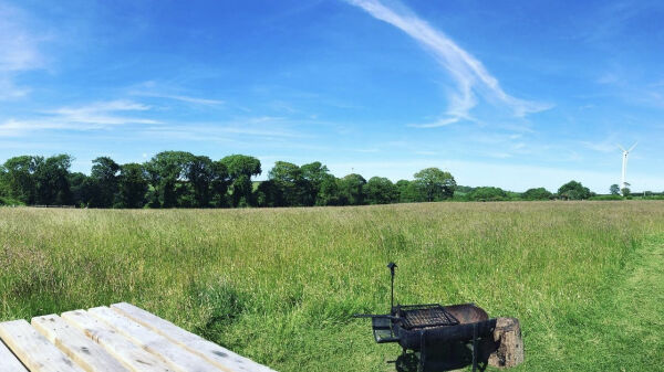 Eco Escape campsite in Milford Haven, Pembrokeshire