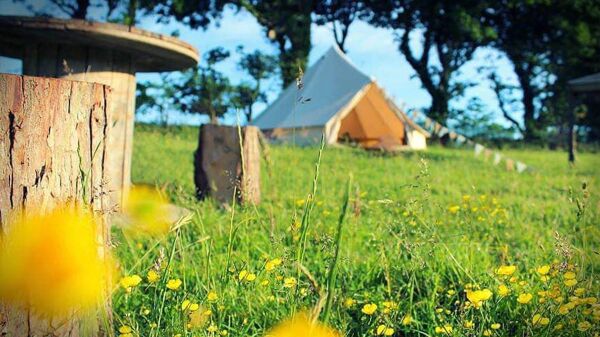Eco Escape campsite in Milford Haven, Pembrokeshire