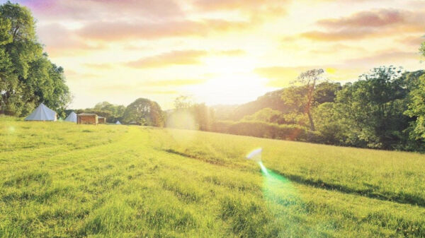 Eco Escape campsite in Milford Haven, Pembrokeshire