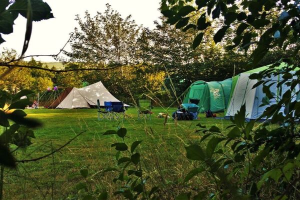Top of the Woods campsite in Boncath, Pembrokeshire