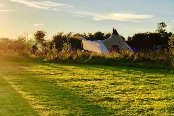 Little Haven Campsite campsite in Little Haven, Pembrokeshire