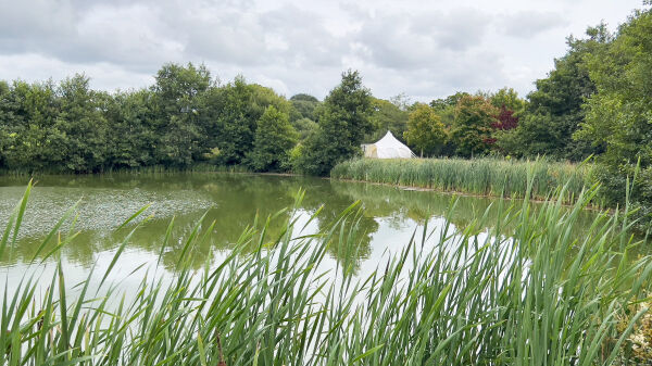 Park House Farm Camping campsite in Narberth, Pembrokeshire