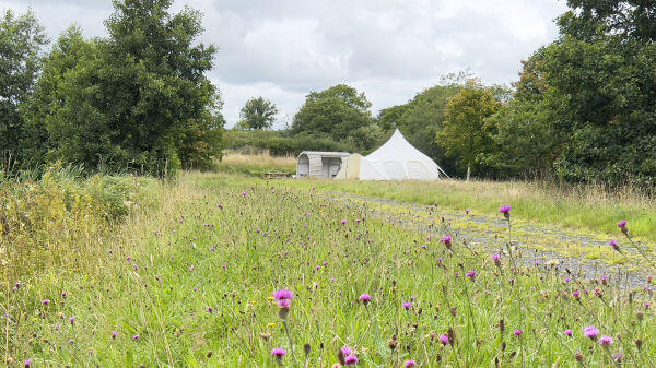 Park House Farm Camping campsite in Narberth, Pembrokeshire