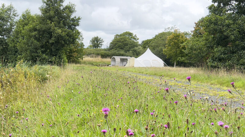 Park House Farm Camping campsite in Narberth, Pembrokeshire
