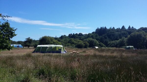 Into The Sticks campsite in Haverfordwest, Pembrokeshire