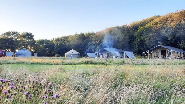 Stackpole Under The Stars campsite in Stackpole, Pembrokeshire