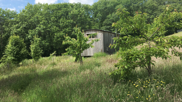 Chapel House Farm campsite in Hereford, Herefordshire