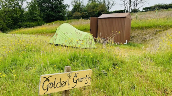 Frowen Fields Camping campsite in Whitland, Carmarthenshire