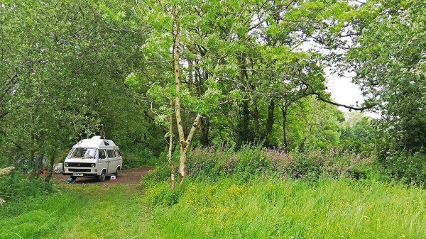 Digs In The Wig campsite in Clarbeston Road, Pembrokeshire
