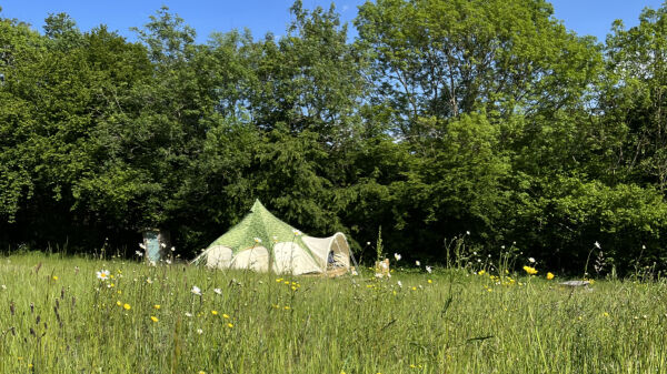 Star Field Camping campsite in Cranbrook, Kent