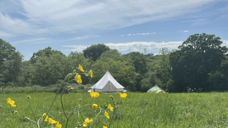 Star Field Camping campsite in Cranbrook, Kent