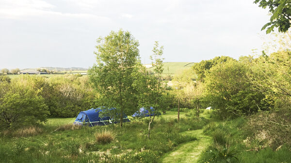 Milkwood Camping campsite in Carmarthen, Carmarthenshire