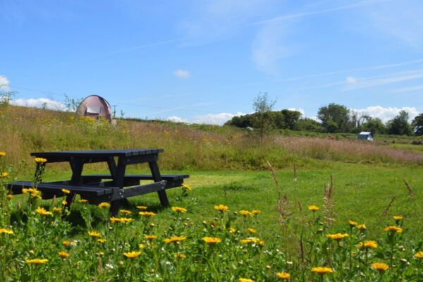 Preseli Glamping campsite in Haverfordwest, Pembrokeshire