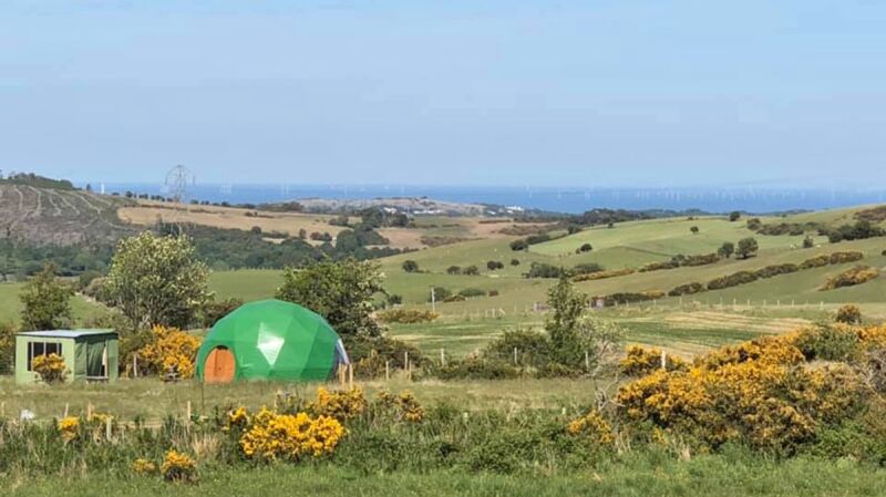 Pant y Rhedyn Domes campsite in Abergele, Conwy