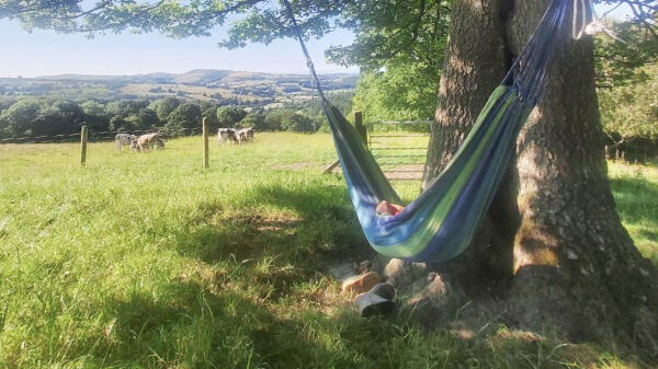 Brenig Glamping campsite in Denbigh, Denbighshire