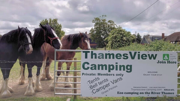 Thames View Camping campsite in East Tilbury, Essex