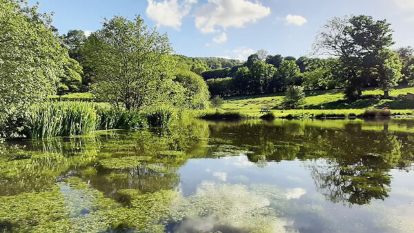 Woodfrys Farm Campsite campsite in Melbury Abbas, Dorset