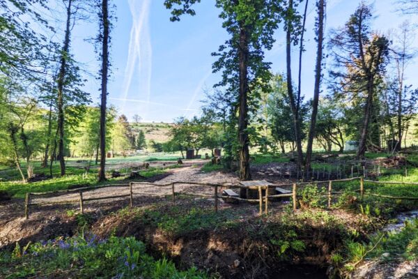 Wytch Wood Camping campsite in Crewkerne, Somerset