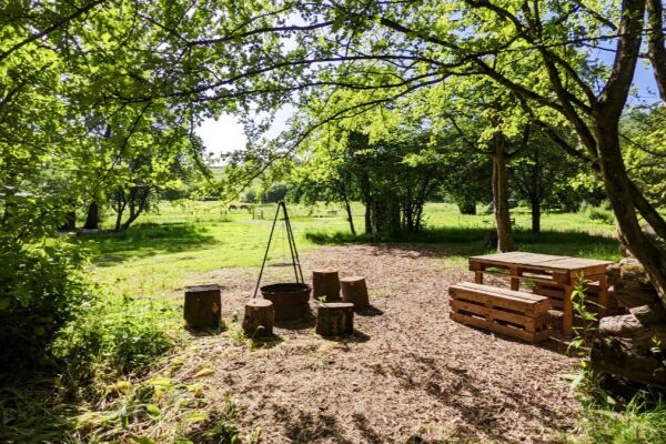 Wytch Wood Camping campsite in Crewkerne, Somerset