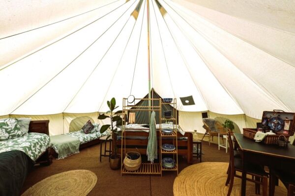 Wytch Wood Camping campsite in Crewkerne, Somerset