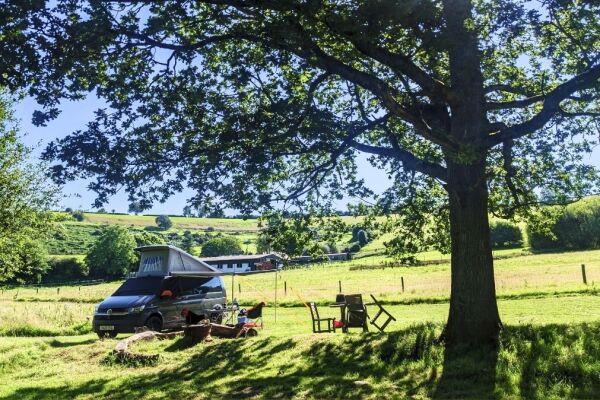 Wytch Wood Camping campsite in Crewkerne, Somerset