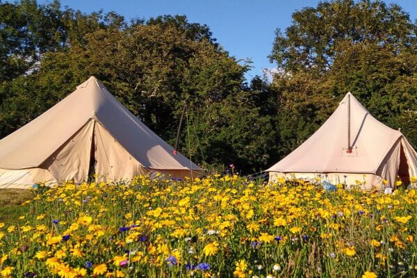 Canna Farm Campsite campsite in St Austell, Cornwall