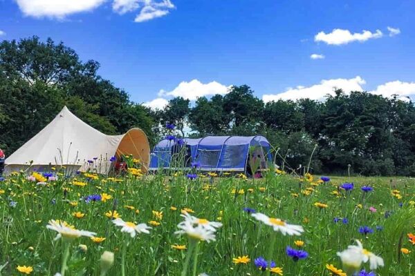 Canna Farm Campsite campsite in St Austell, Cornwall