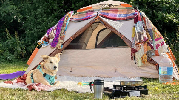 Cudlic Camping campsite in Milford Haven, Pembrokeshire