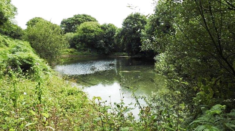 Cudlic Camping campsite in Milford Haven, Pembrokeshire