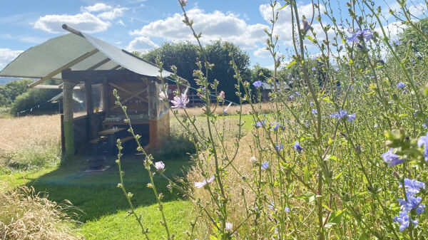 Willow Acres Campsite campsite in Torfaen, Monmouthshire