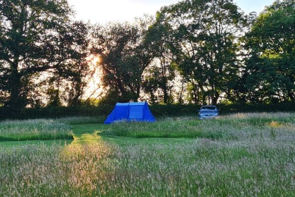 Buckland Farm Camping campsite in Wellington, Somerset