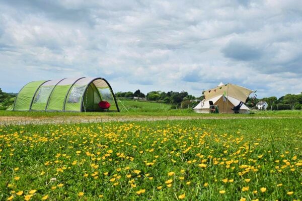 Wonton Park Camping campsite in Totnes, Devon