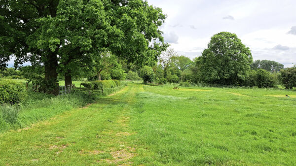 Cranley Barn Camping campsite in Milton Keynes, Buckinghamshire