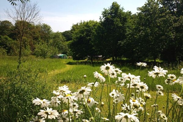 Orchard Hideaway campsite in Exeter, Devon