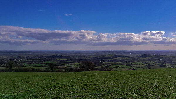 Orchard View Camping campsite in Wedmore, Somerset
