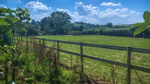 Orchard View Camping campsite in Wedmore, Somerset