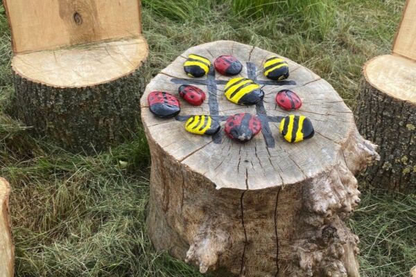 Wild Contentment campsite in Oswestry, Shropshire
