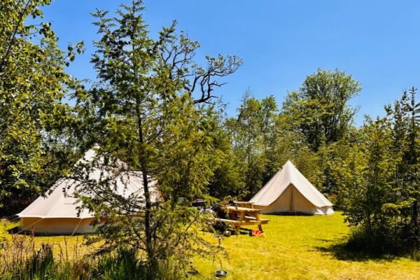 Landsker Camping campsite in Narberth, Pembrokeshire