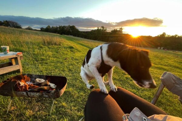 South Hoggs Hideaway campsite in Holsworthy, Devon