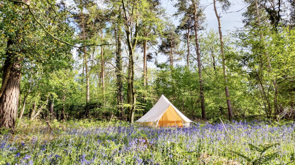 Oakwood West Estate Camping campsite in Chichester, West Sussex