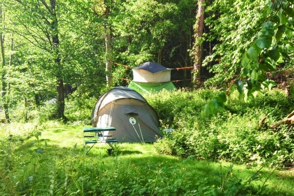 Tree Tops & Train Tracks campsite in Mold, Flintshire