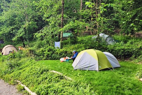 Tree Tops & Train Tracks campsite in Mold, Flintshire