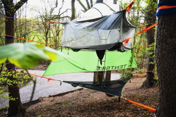 Tree Tops & Train Tracks campsite in Mold, Flintshire