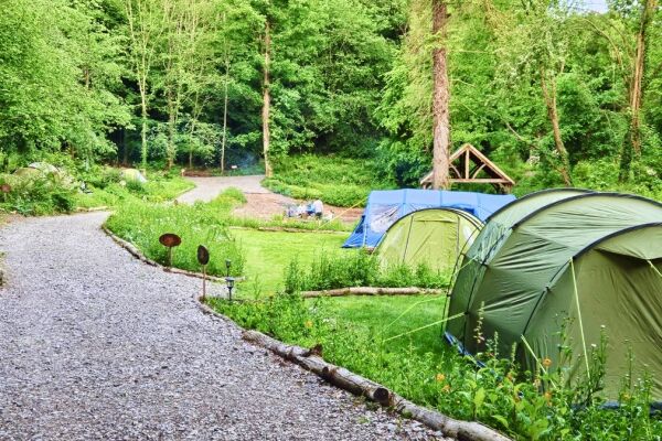 Tree Tops & Train Tracks campsite in Mold, Flintshire