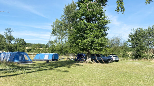 Woodlands Camping campsite in Bramdean, Hampshire